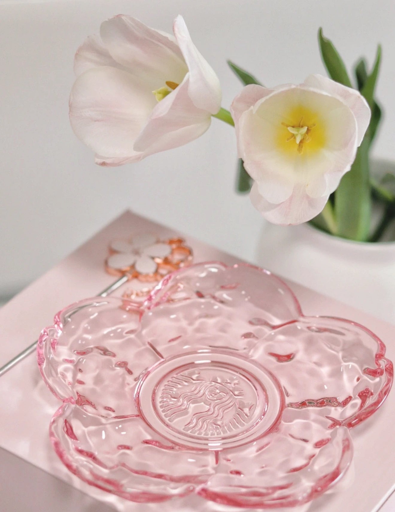 Starbucks Sakura Glass Cup Set