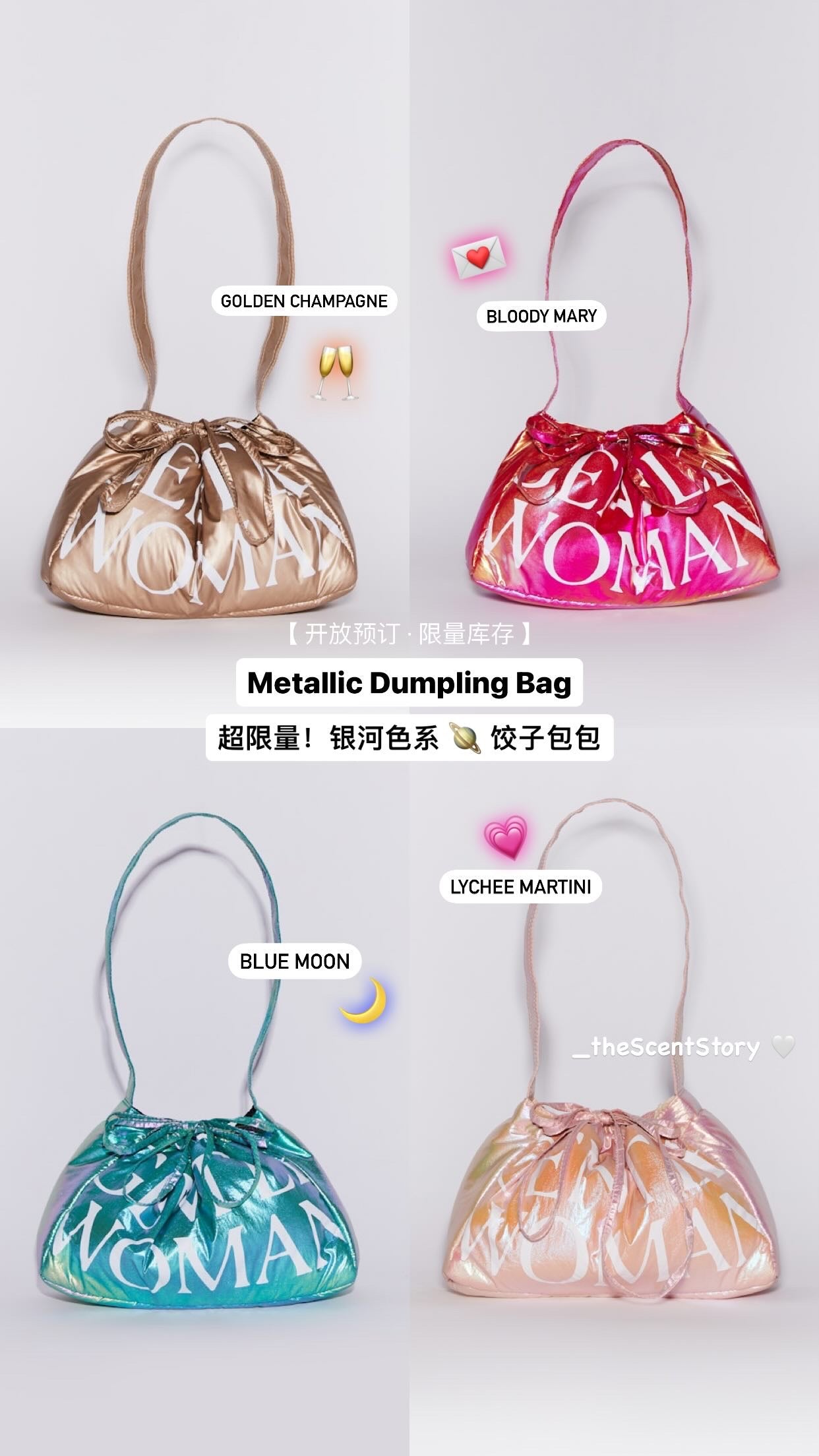 Gentlewoman Metallic Dumpling Bag