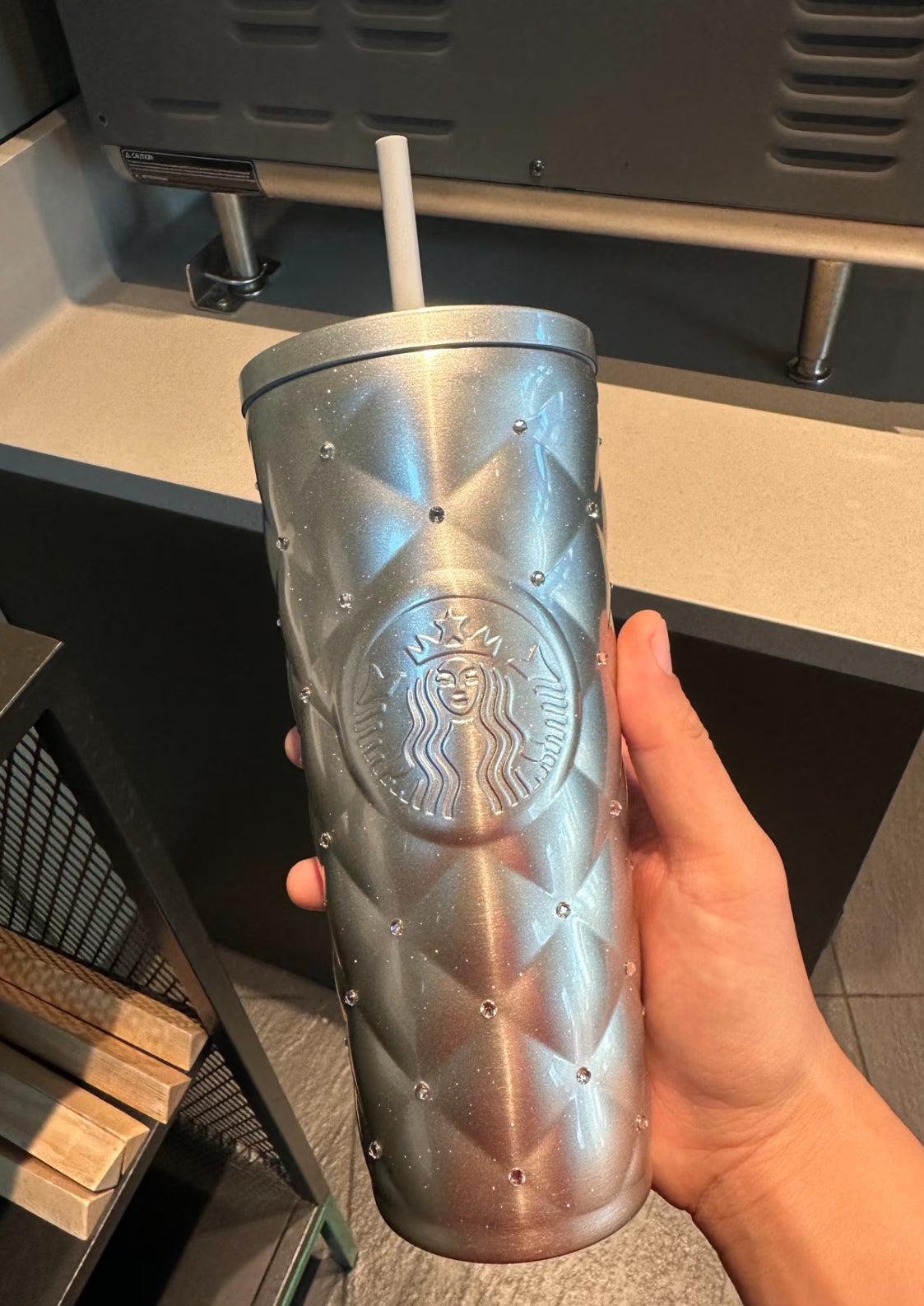 Starbucks Winter Frost Thermos Tumblr