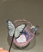Starbucks Sakura Butterfly Glass Cup