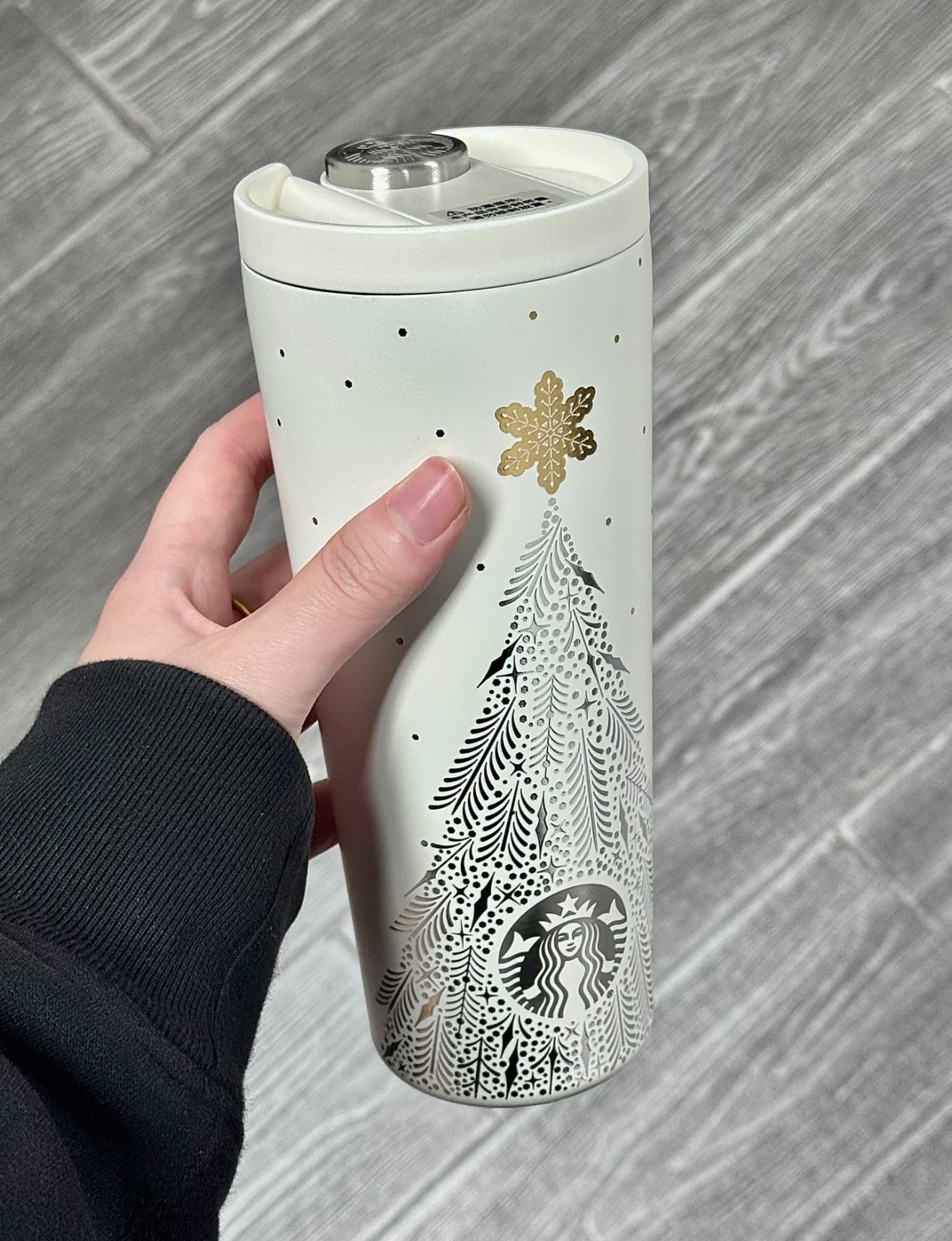 Starbucks Winter Christmas Thermos Tumblr