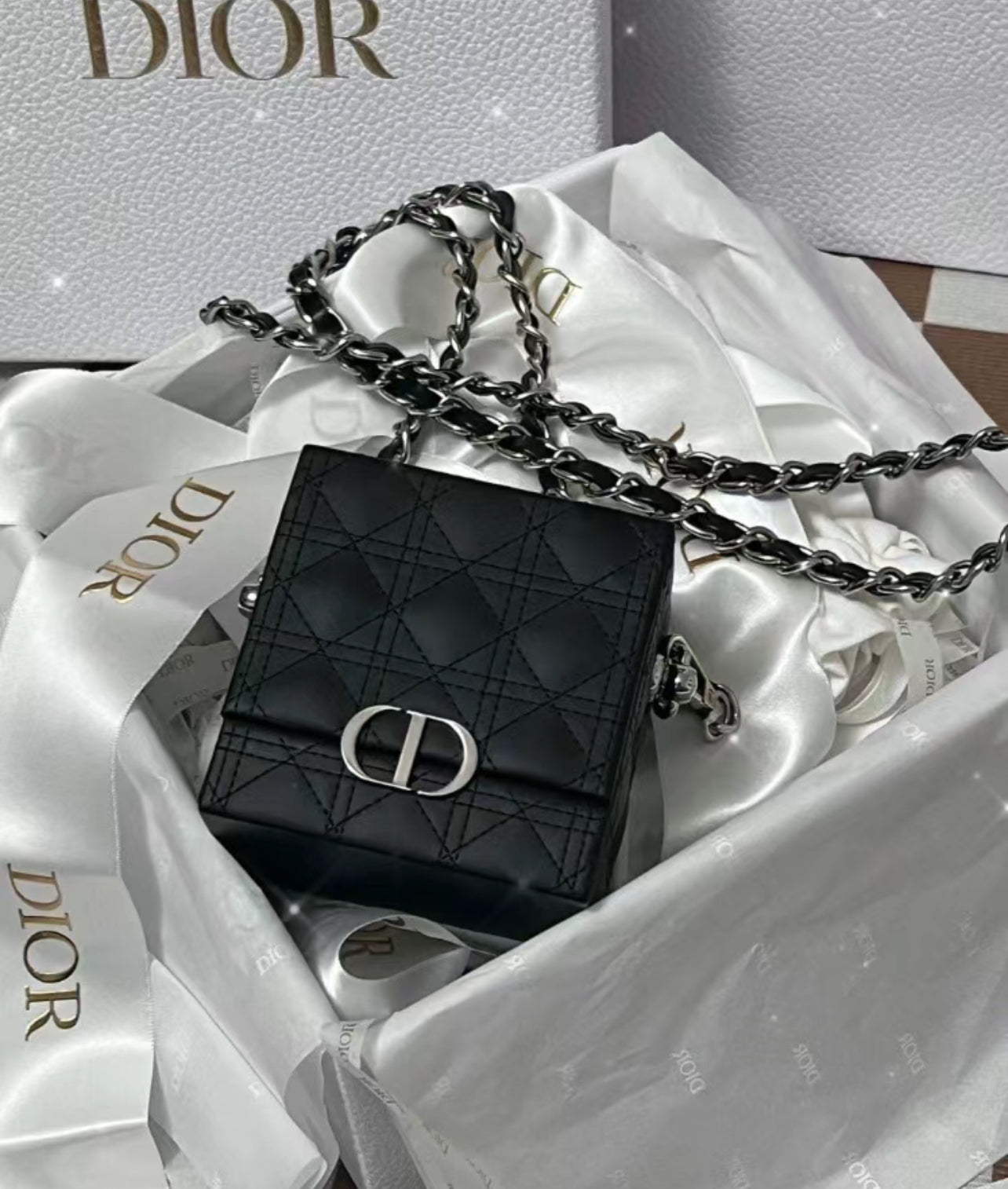 Dior Lipstick Bag