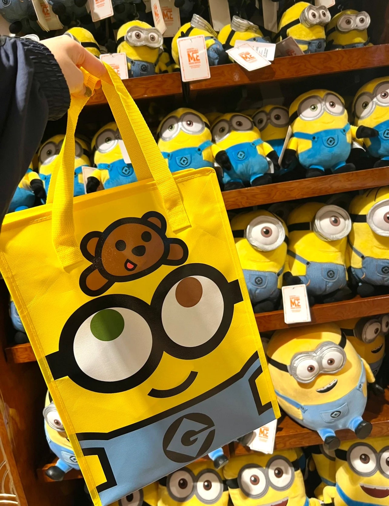 Minions Recycle Bag