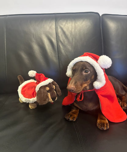JellyCat Xmas Otto Sausage Dog