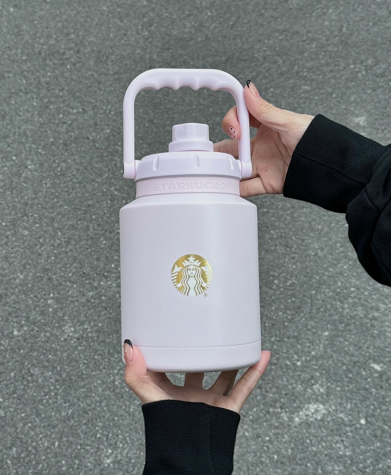 Starbucks Sakura Chubby Flasks