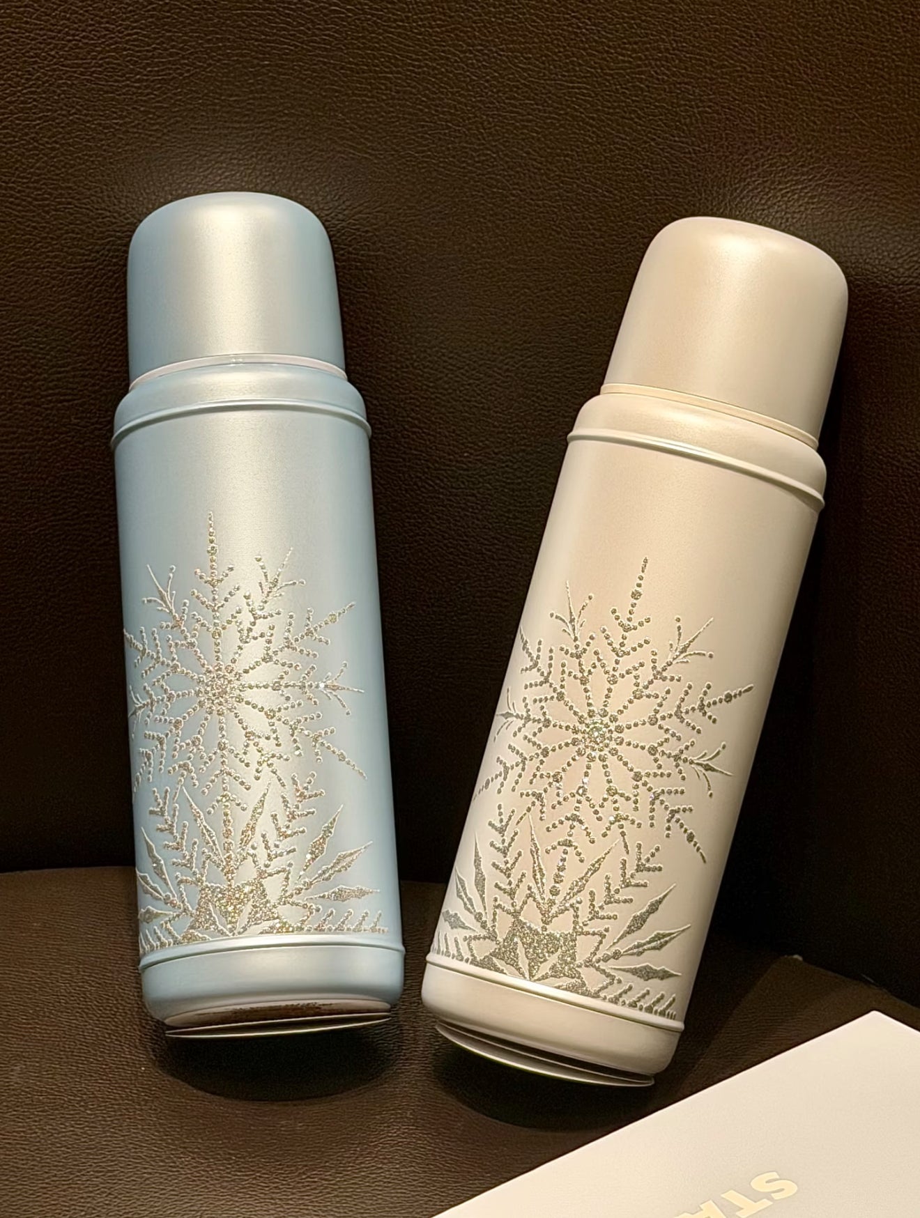 Starbucks Winter Frozen Thermos Tumblr