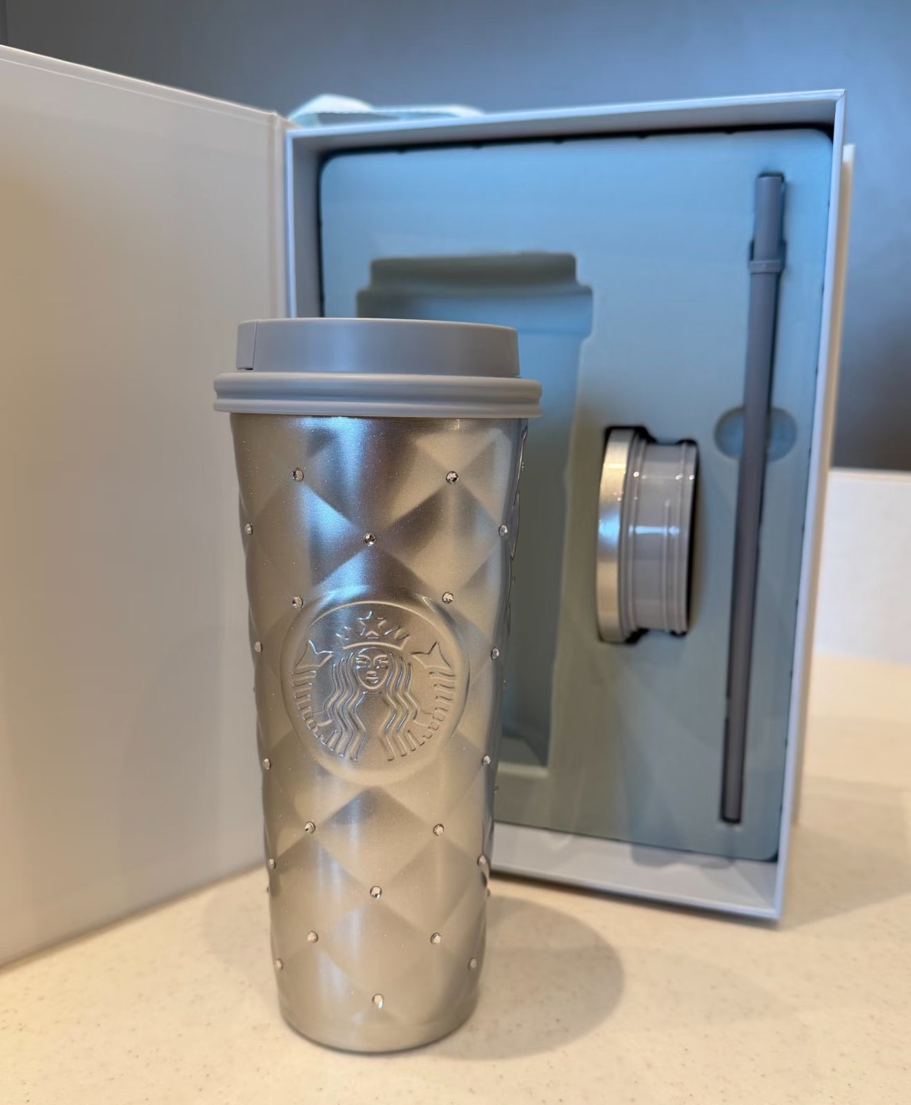 Starbucks Winter Frost Thermos Tumblr