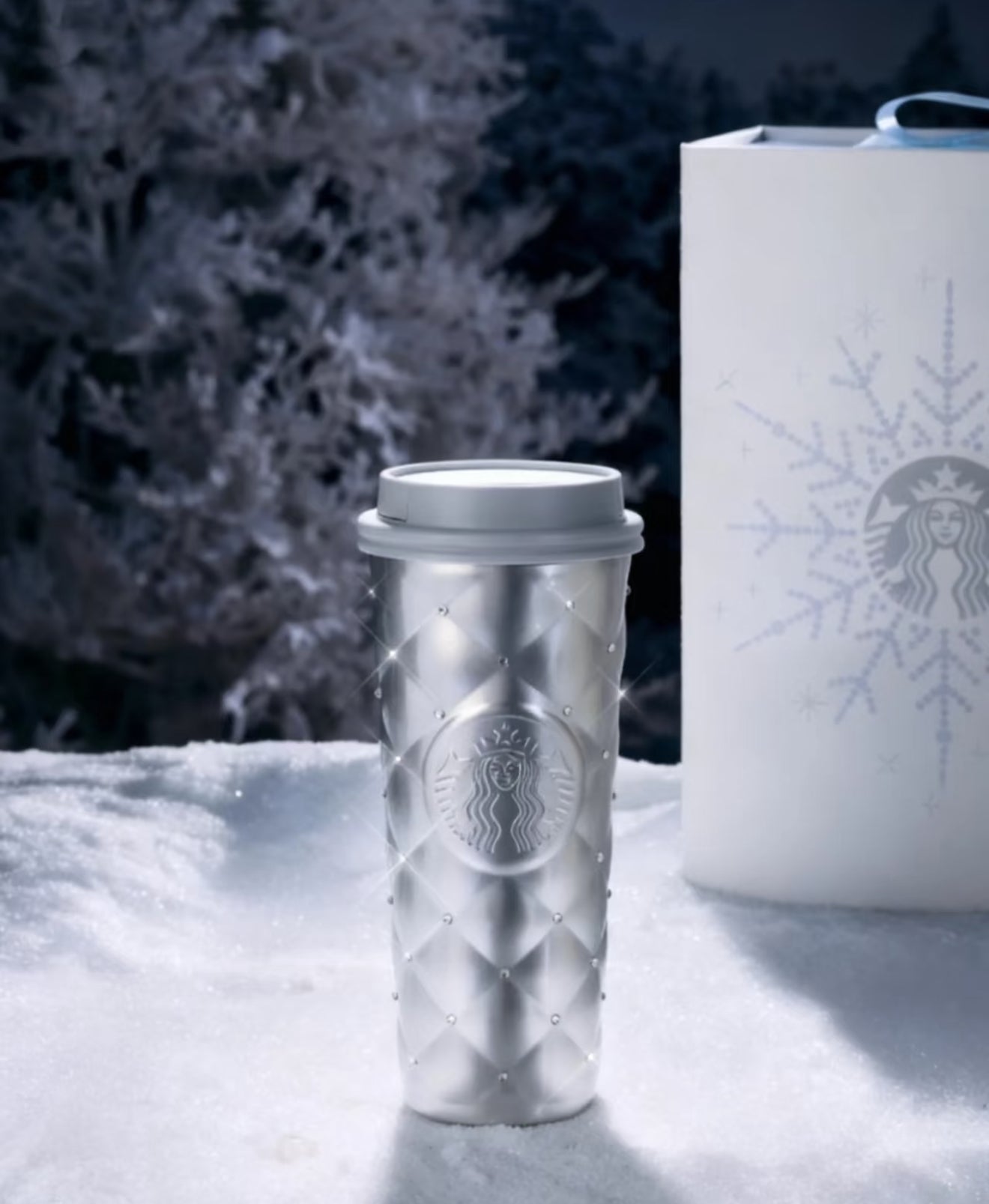 Starbucks Winter Frost Thermos Tumblr